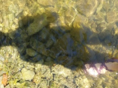 the clarity ofTthe water up to my knees.